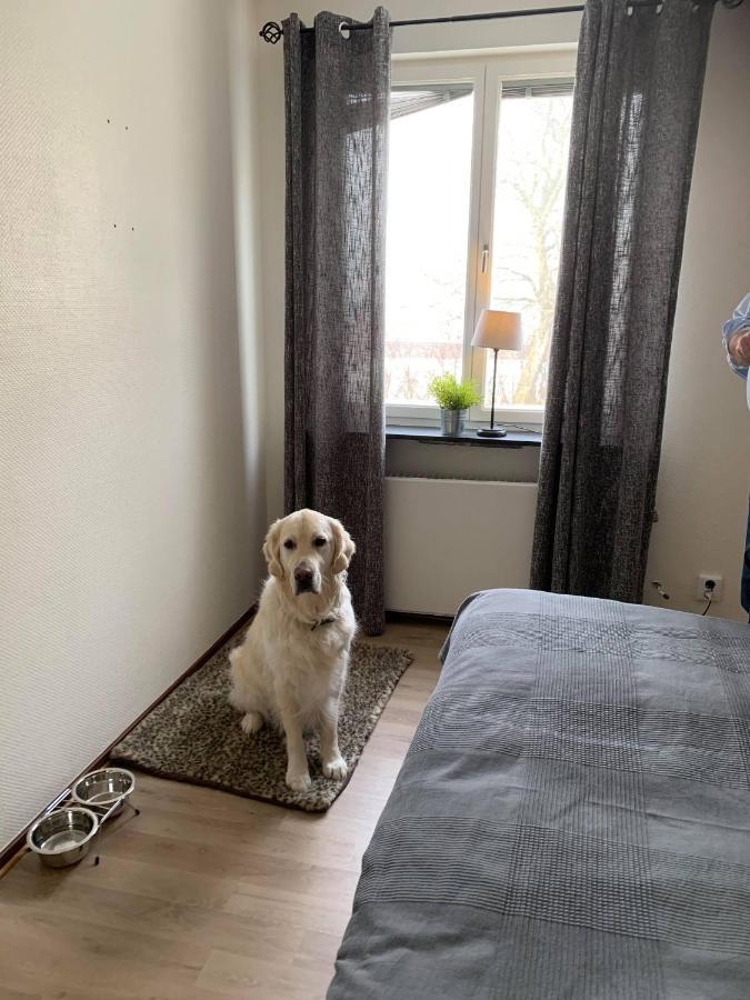 Bralanda Hotell Och Vandrarhem Bagian luar foto
